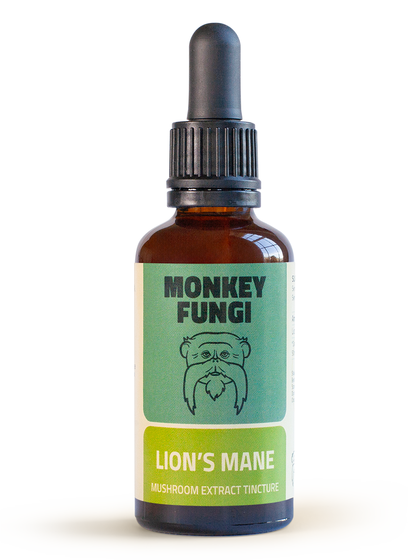 lions-mane-bottle Lion's Mane mushroom tincture