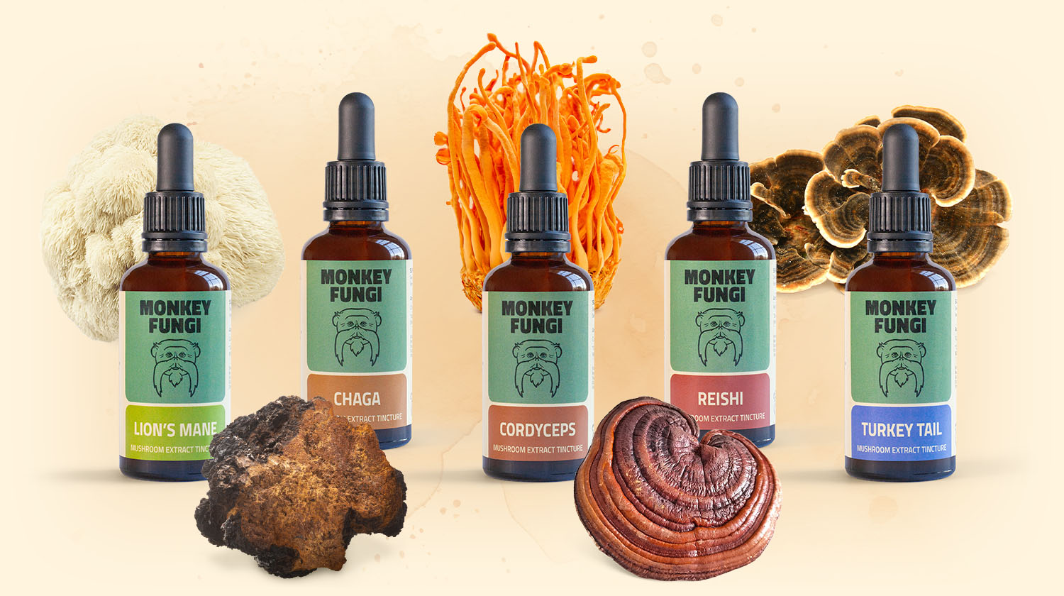 Mushroom Tinctures by Monkey Fungi
