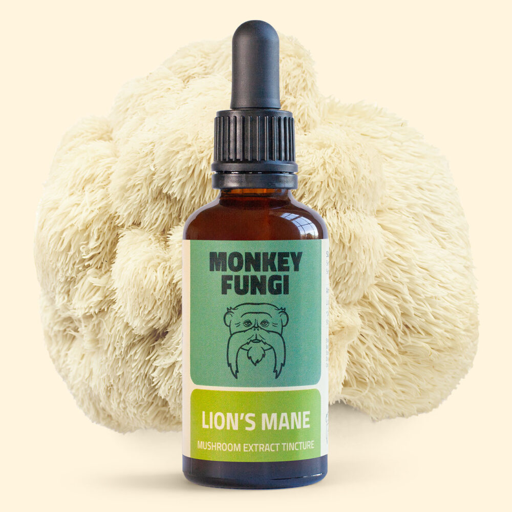 Lion's Mane Mushroom Tincture product photo with mushroom