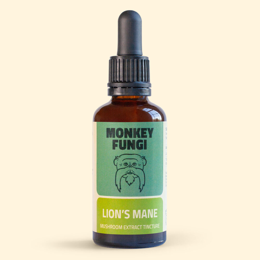 Lion's Mane Mushroom Extract Tincture product photo