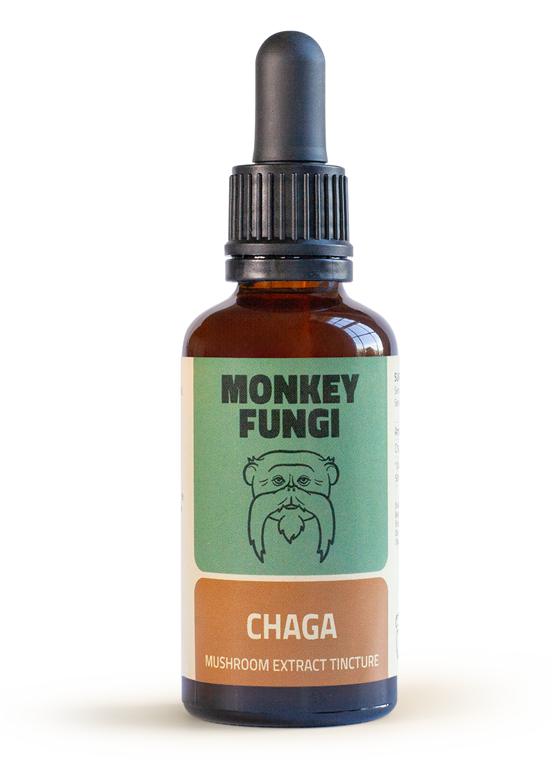 chaga-bottle Chaga mushroom tincture