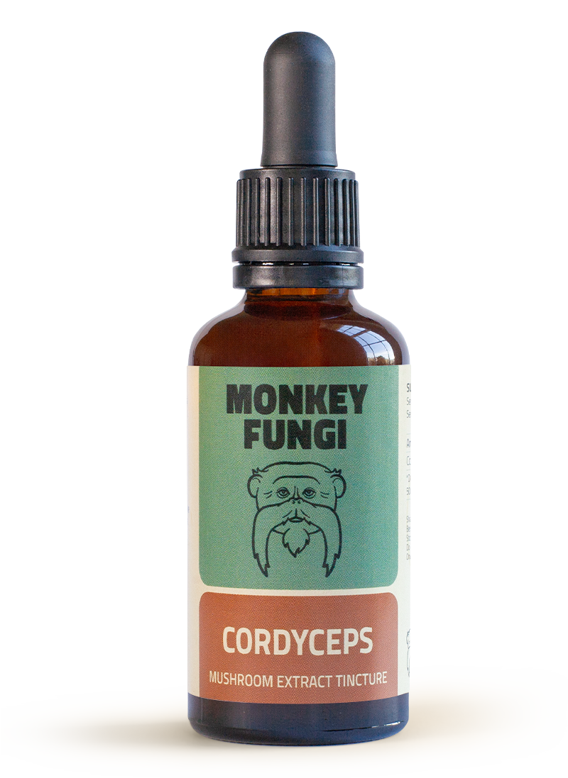 cordyceps-bottle Cordyceps mushroom tincture