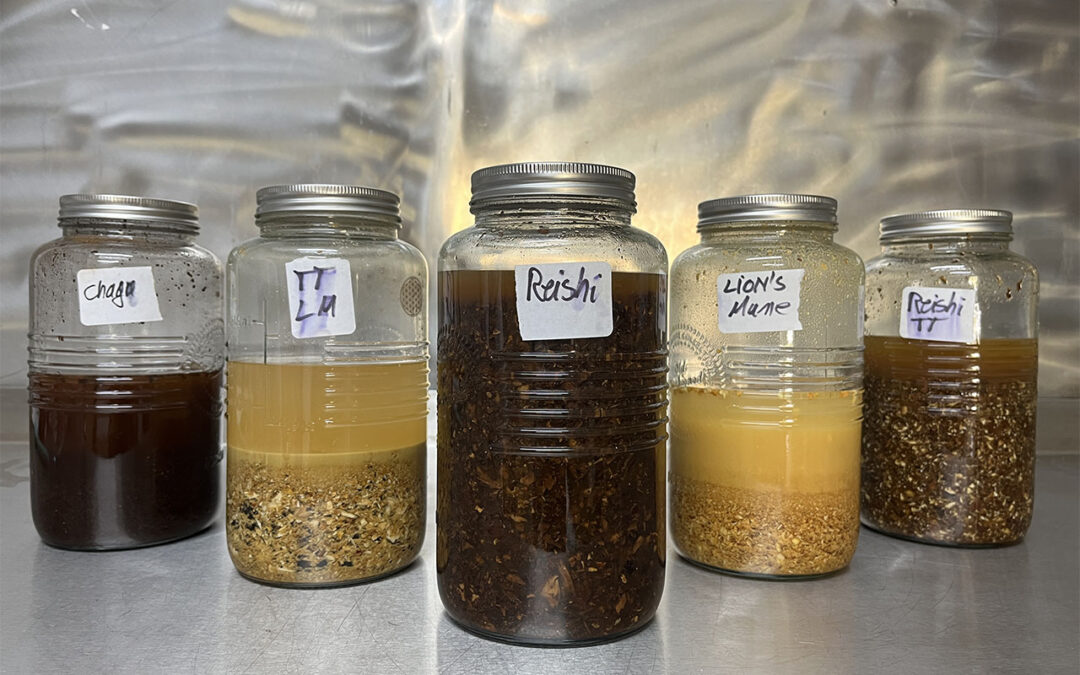 What Is Dual Extraction? A Simple Guide to Mushroom Tinctures