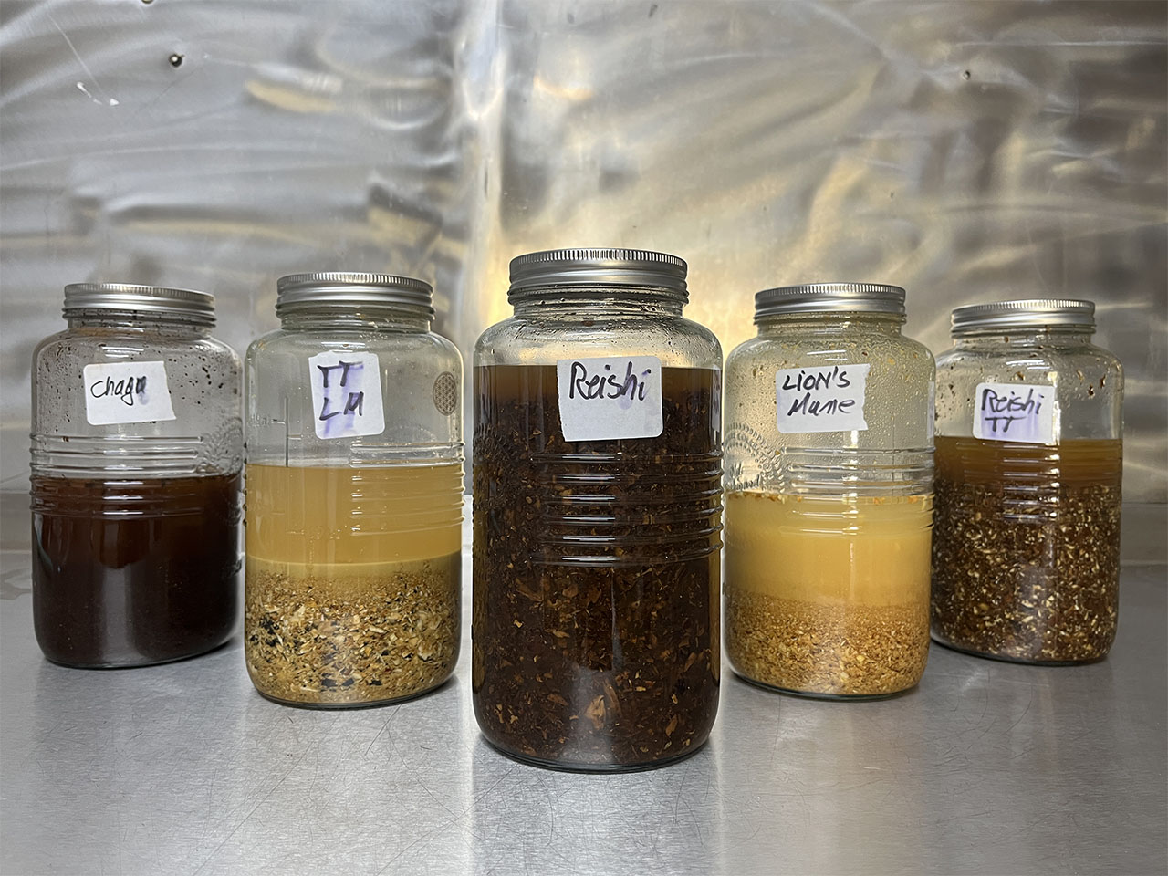 Different types of mushroom remedies