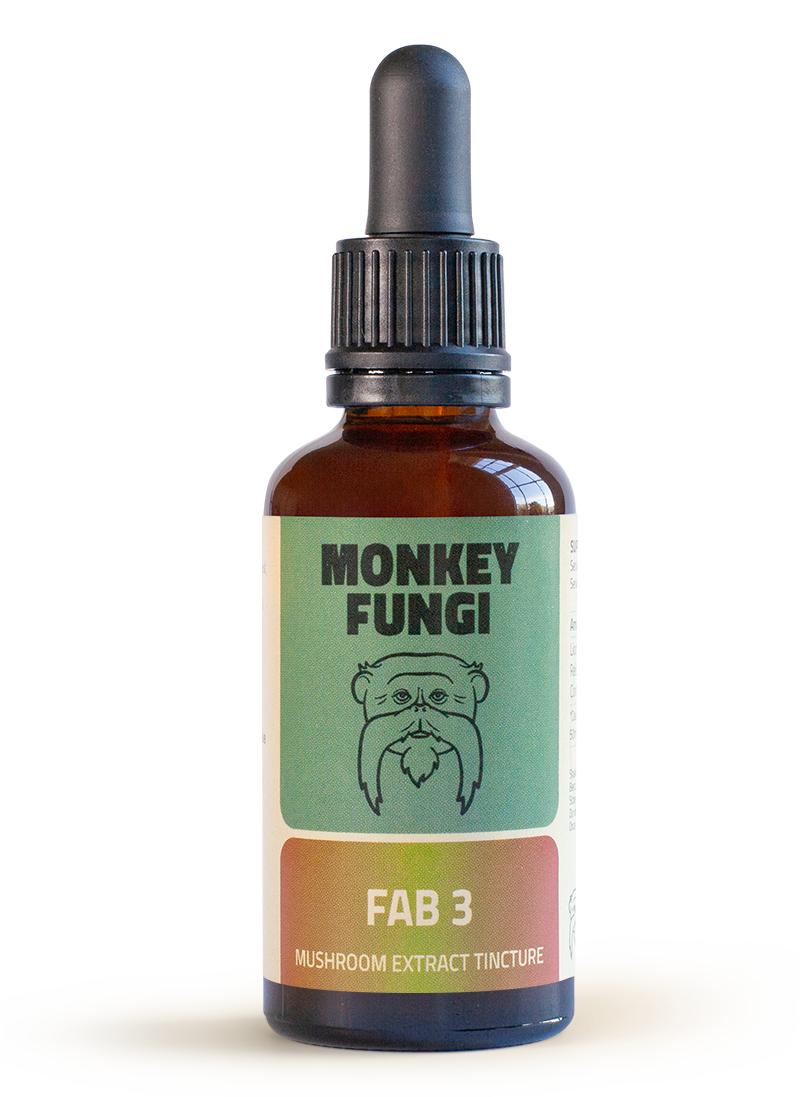 fab3-bottle Fab 3 mushroom tincture