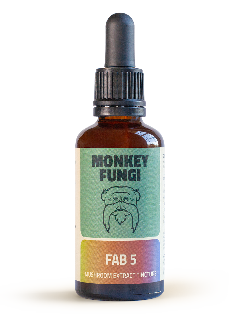 fab5-bottle Fab 5 mushroom tincture