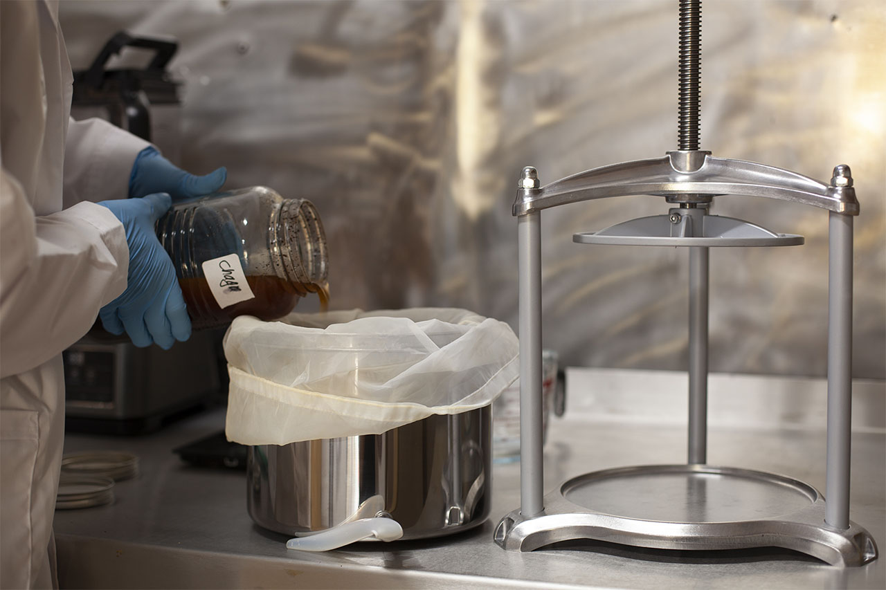 making-of-the-mushroom-extract-tinctures