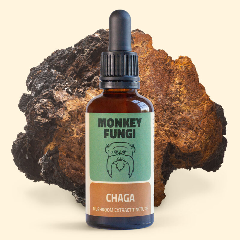 Chaga Mushroom Tincture product photo with mushroom