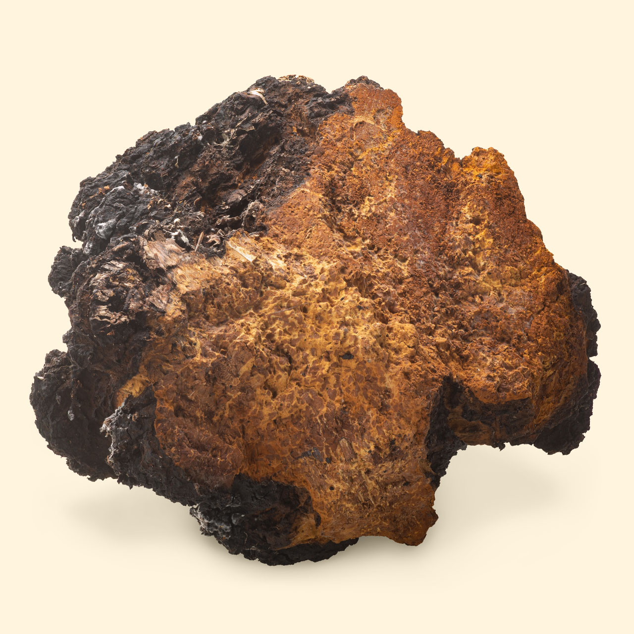 product-chaga-mushrooms Chaga Mushrooms