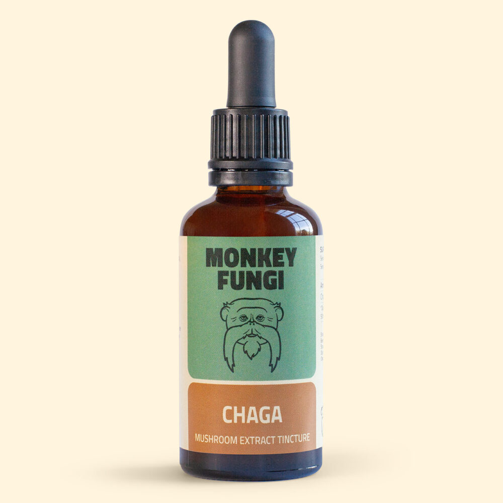 Chaga Mushroom Extract Tincture product photo