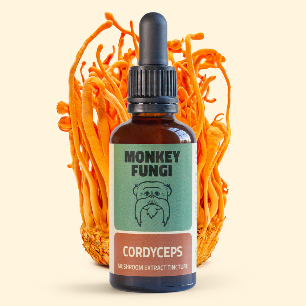 Cordyceps Mushroom Tincture product photo with mushroom