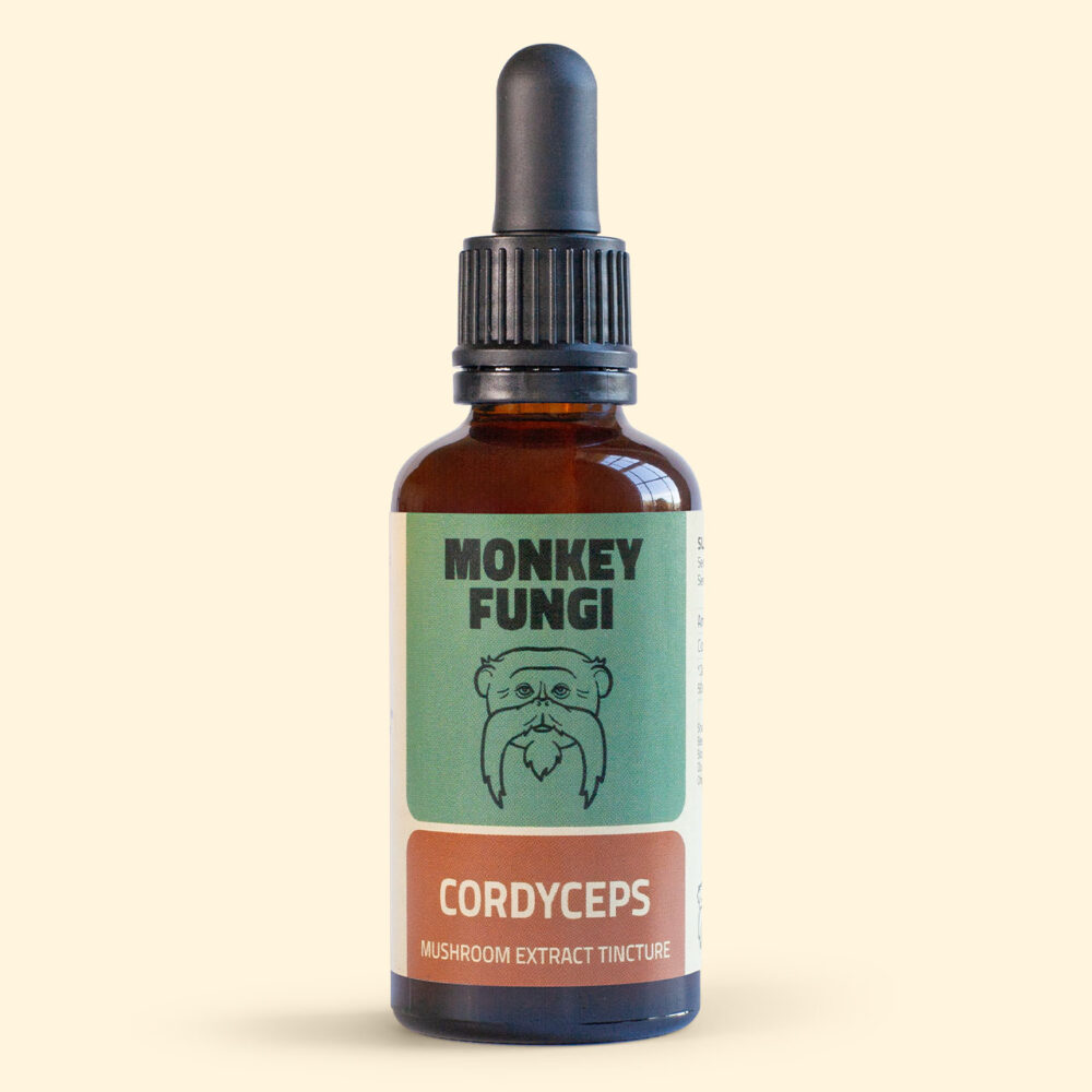 Cordyceps Mushroom Extract Tincture product photo