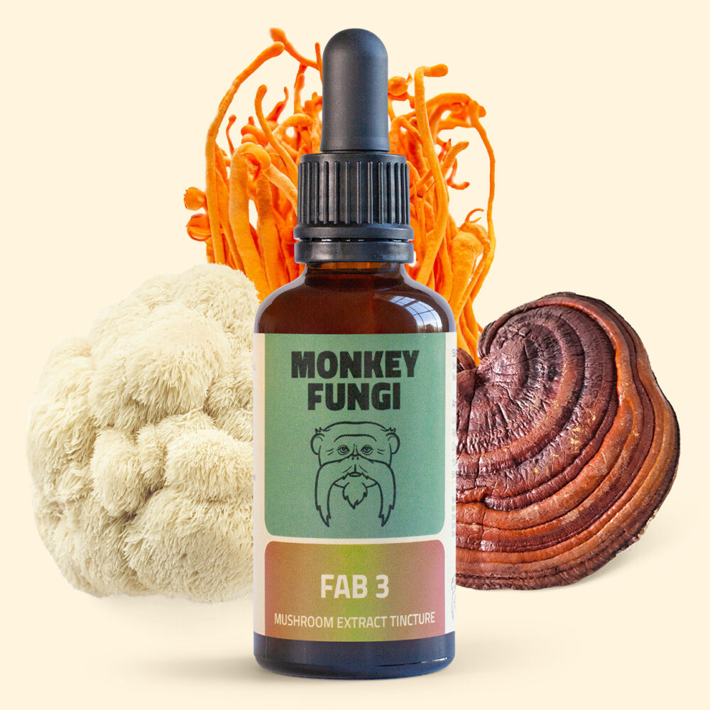 Fab 3 (Lion's Mane, Reishi, Cordyceps) Mushroom Tincture product photo with mushroom