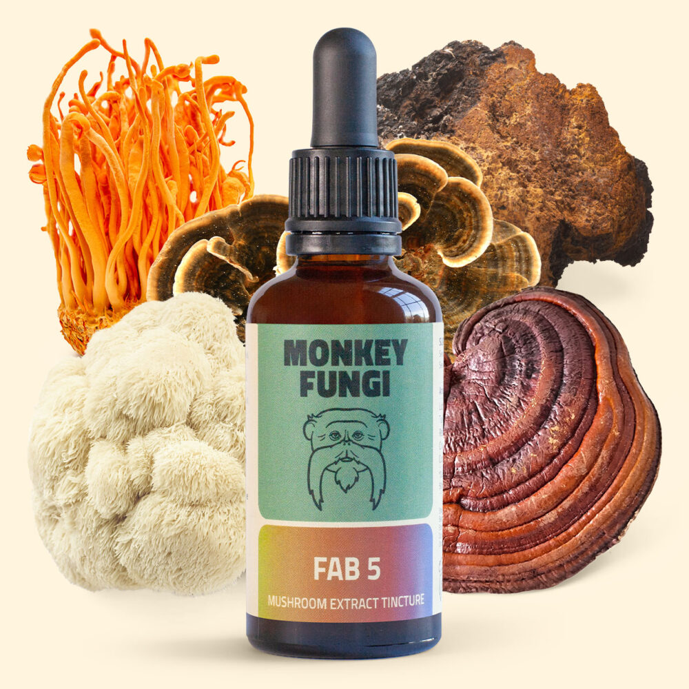 Fab 5 (Lion's Mane, Turkey Tail, Reishi, Chaga, Cordyceps) Mushroom Tincture product photo with mushrooms