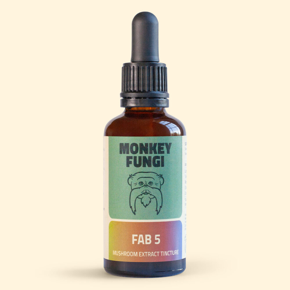 Fab 5 (Lion's Mane, Turkey Tail, Reishi, Chaga, Cordyceps) Mushroom Extract Tincture product photo