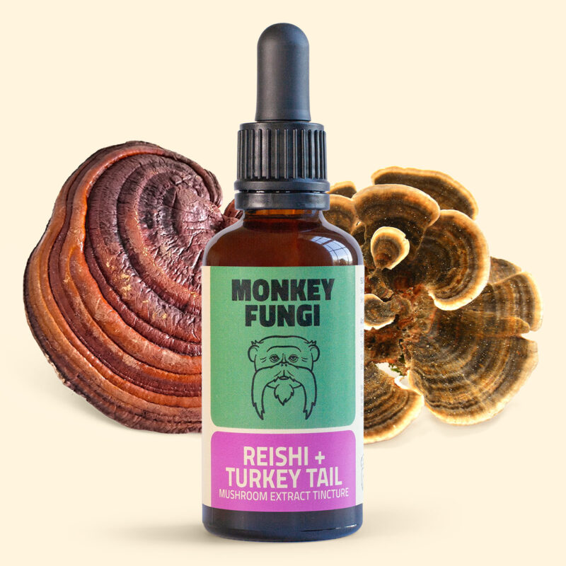 Reishi + Turkey Tail Mushroom Tincture product photo with mushroom