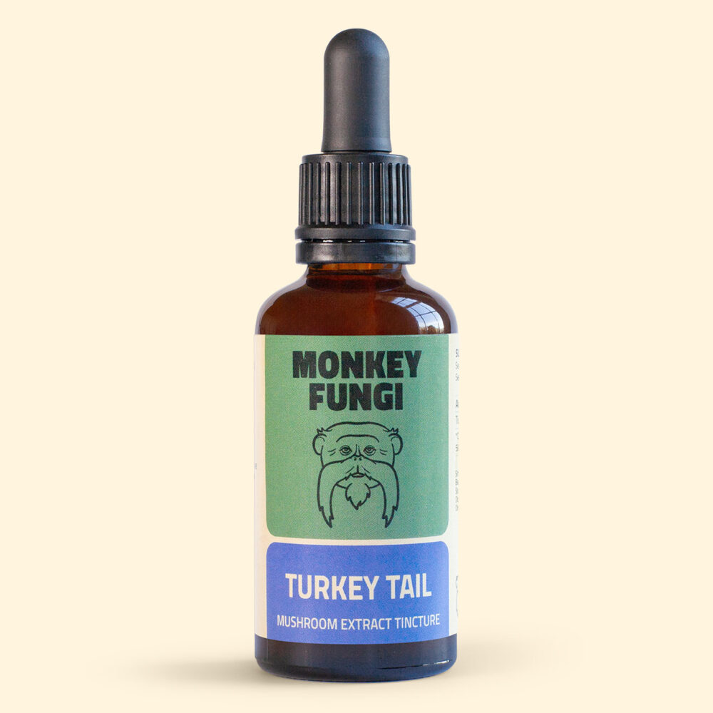 Turkey Tail Mushroom Extract Tincture product photo