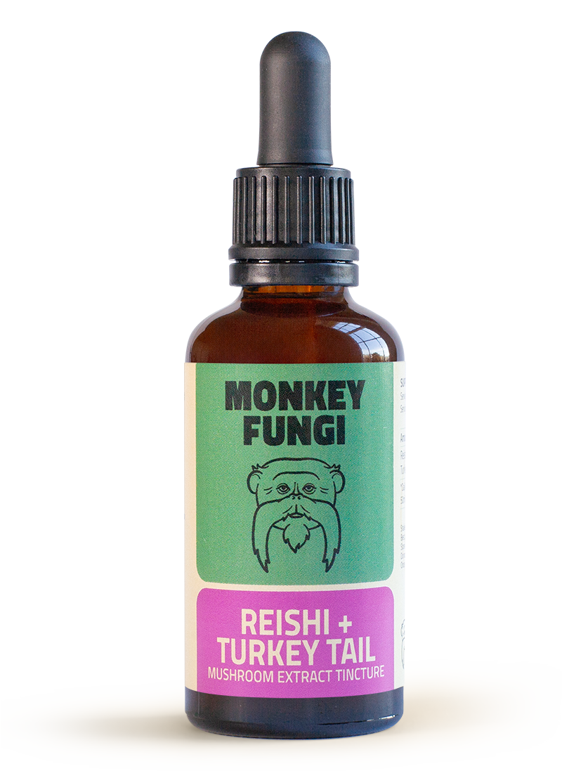 reishi-turkeytail-bottle Reishi and Turkey Tail mushroom tincture