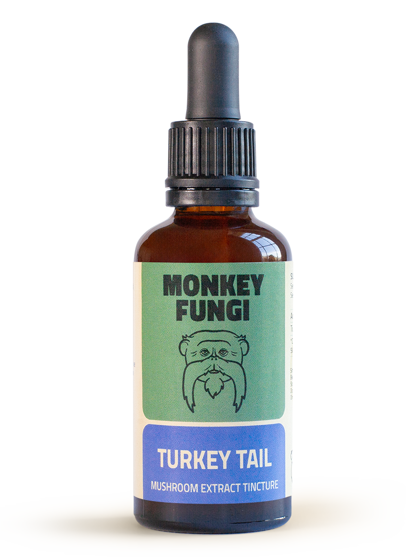 Turkey Tail mushroom tincture