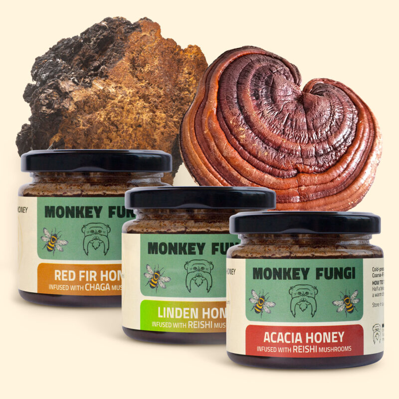 Acacia, Linden and Red Fir Honey infused ith chaga or reishi mushrooms Bundle