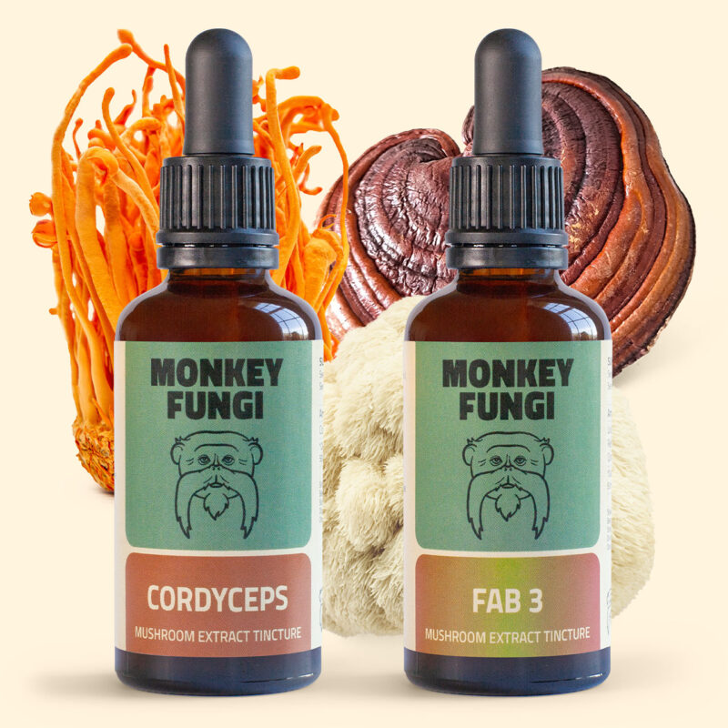 Fab3 and Cordyceps Tinctures Bundle