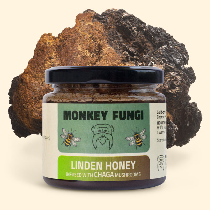 Linden honey infused with Chaga mushrooms