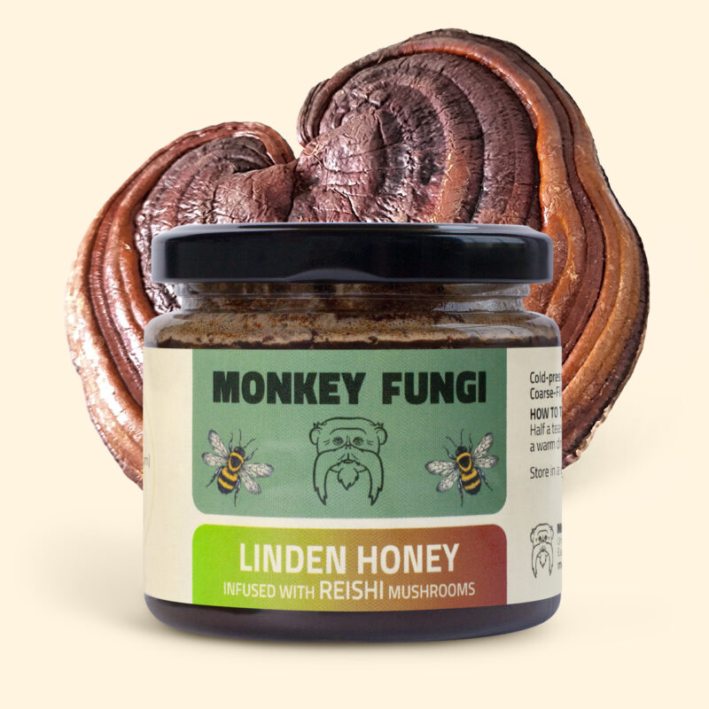 Linden honey infused with Reishi mushrooms