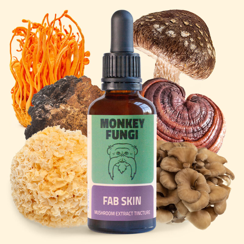 Fab Skin mushroom extract tincture