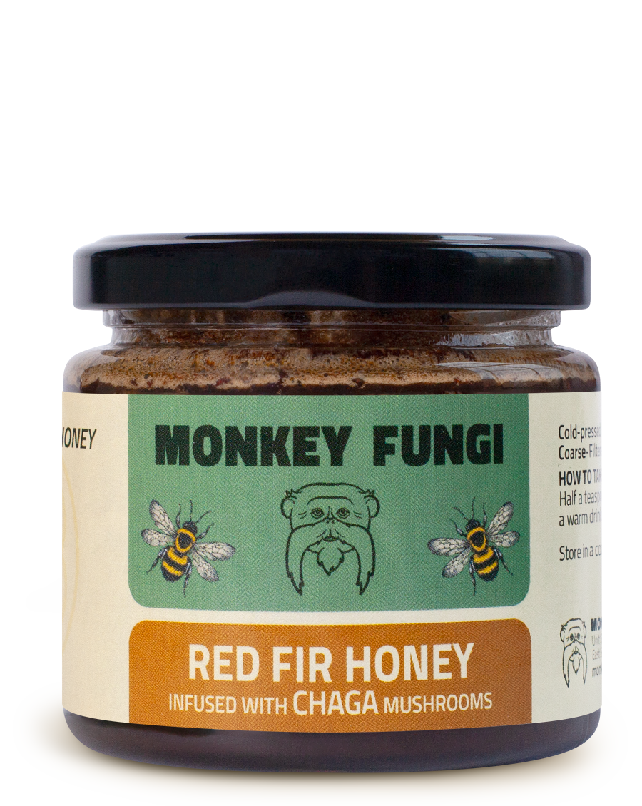 Raw Organic Greek Red Fir Honey infused with Chaga mushrooms