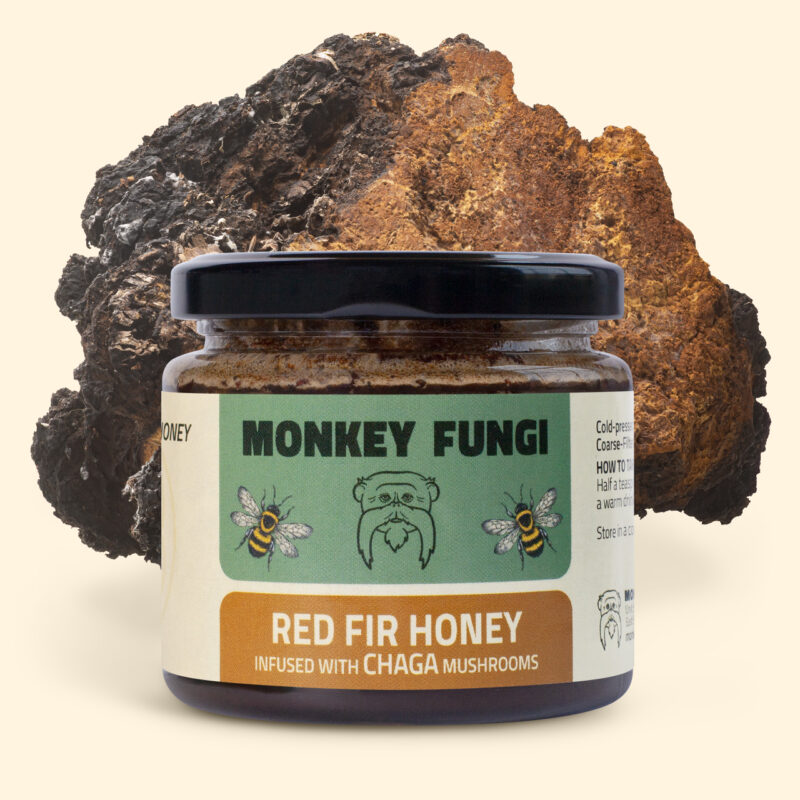 Red fir honey infused with chaga mushrooms