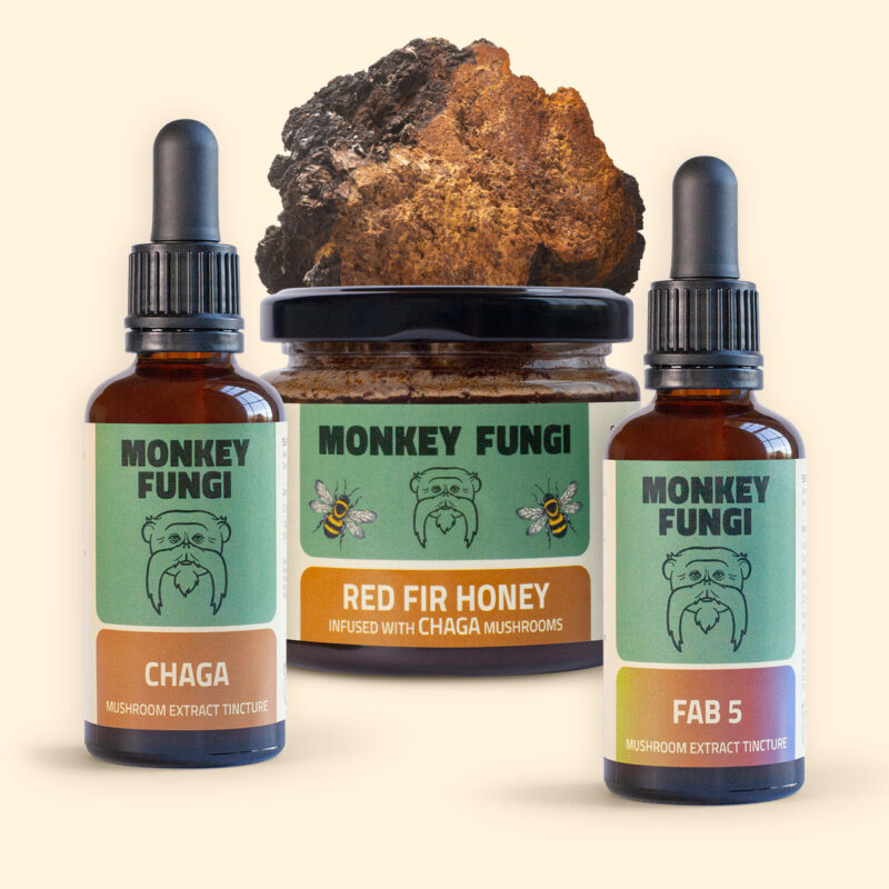 FAB 5 tincture, Chaga tincture and Raw Organic Greek Red Fir Honey infused with Chaga