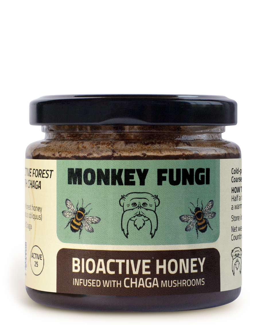 Bioactive Chaga Honey