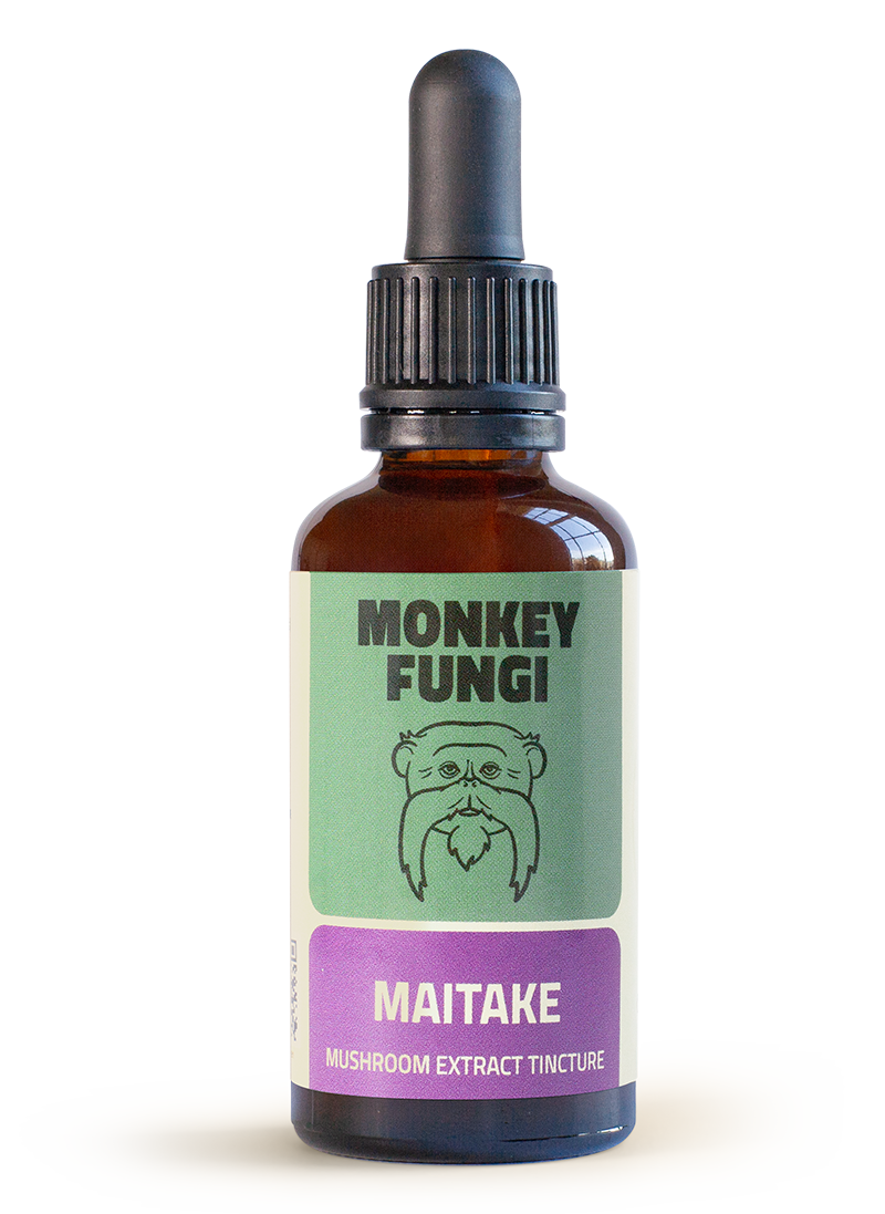 Maitake mushroom tincture bottle