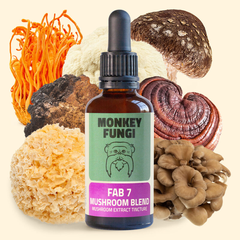 Fab 7 mushroom blend extract tincture