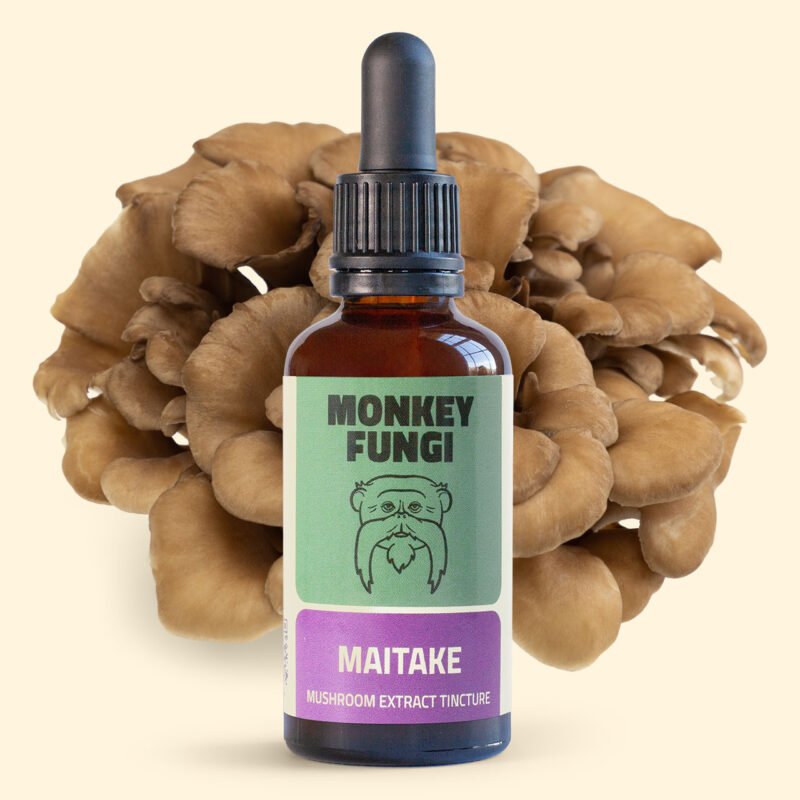 Maitake mushroom extract tincture