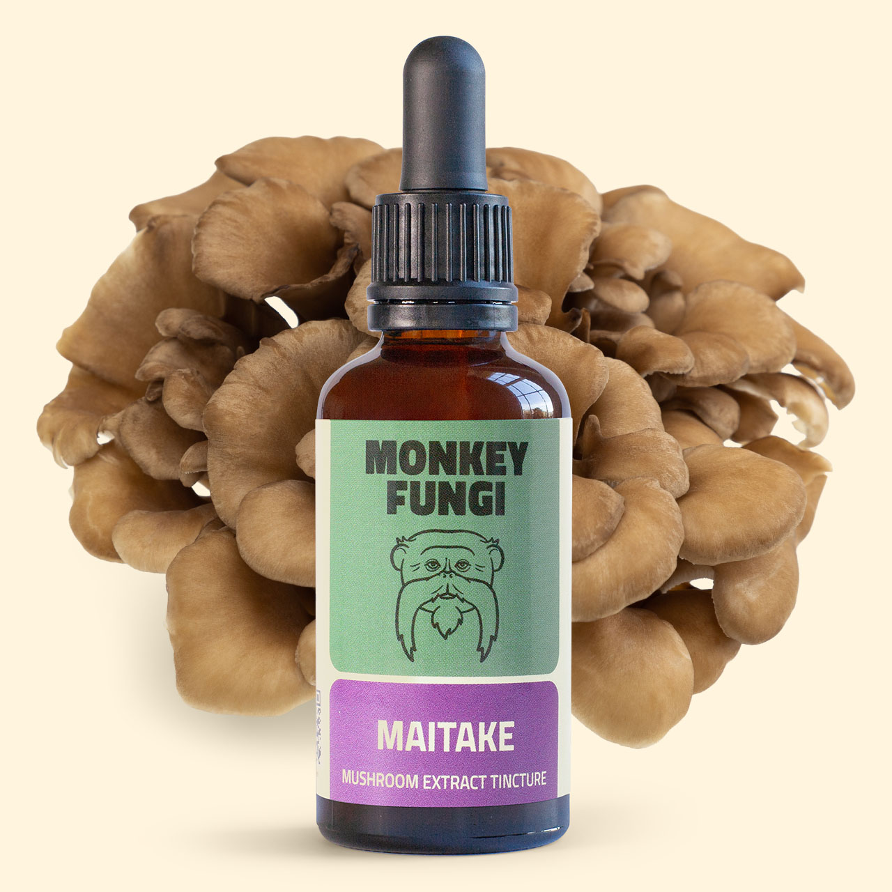 Maitake mushroom extract tincture