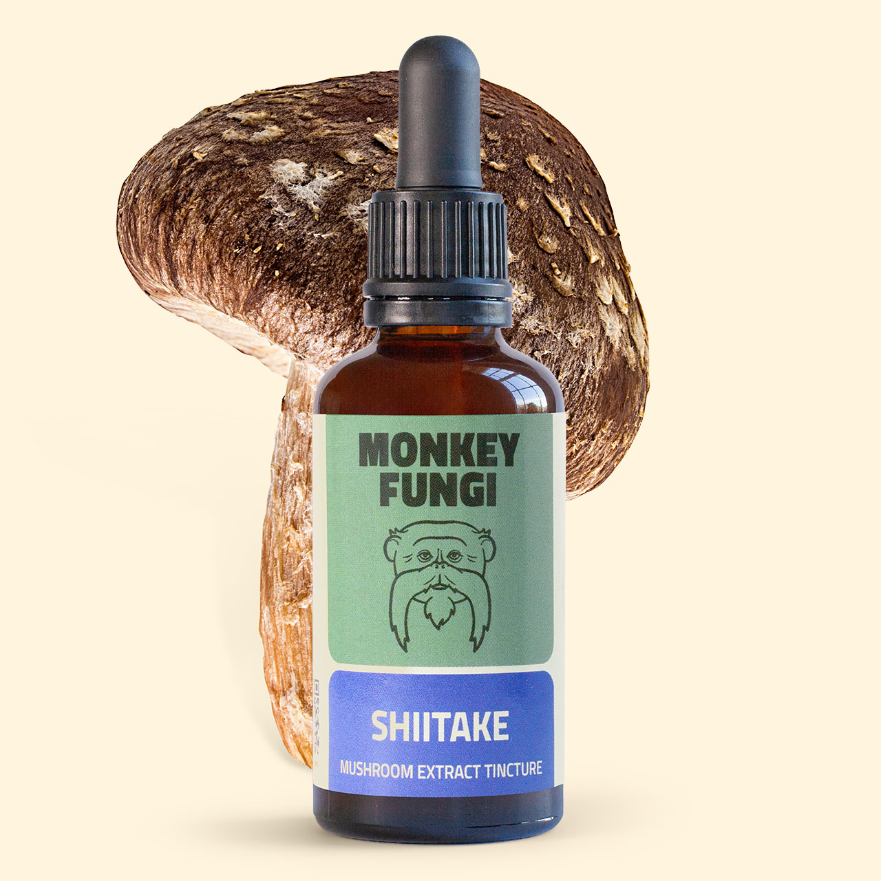 Shiitake mushroom extract tincture