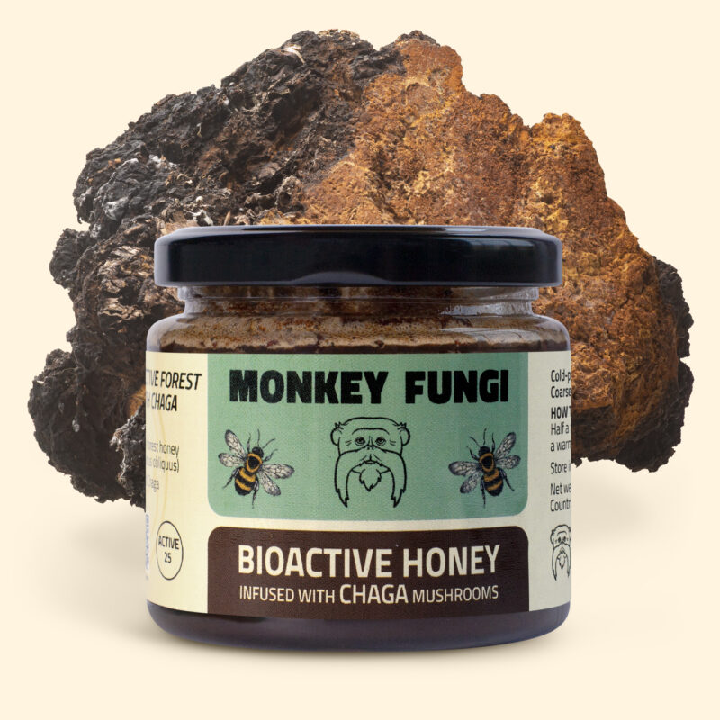 Raw organic greek bioactive forest honey infused with chaga mushrooms