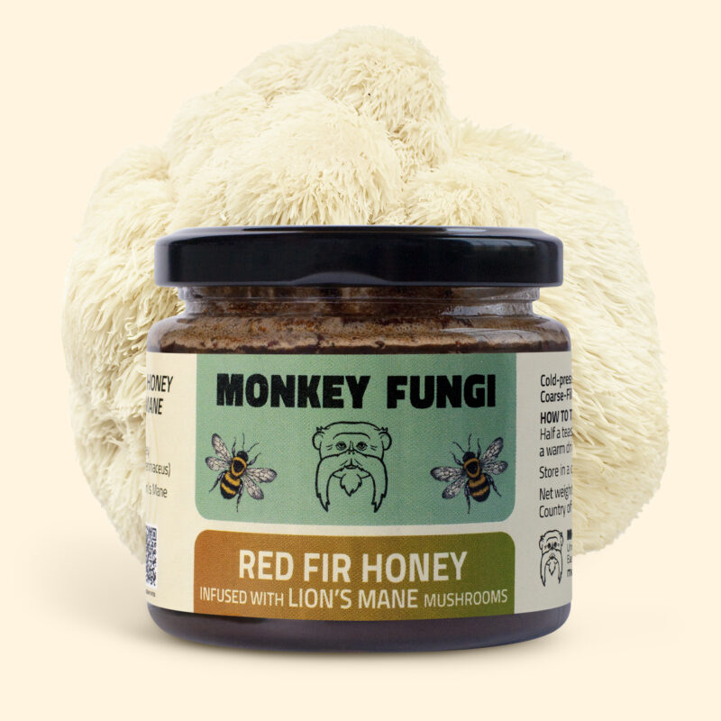 Red Fir honey infused with Lion's Mane mushrooms