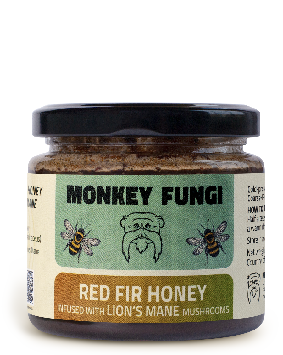 Red Fir Lion's mane honey jar