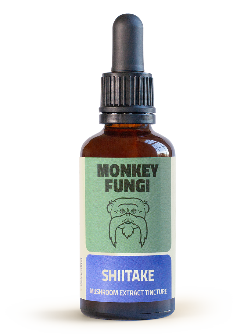 Shiitake tincture bottle