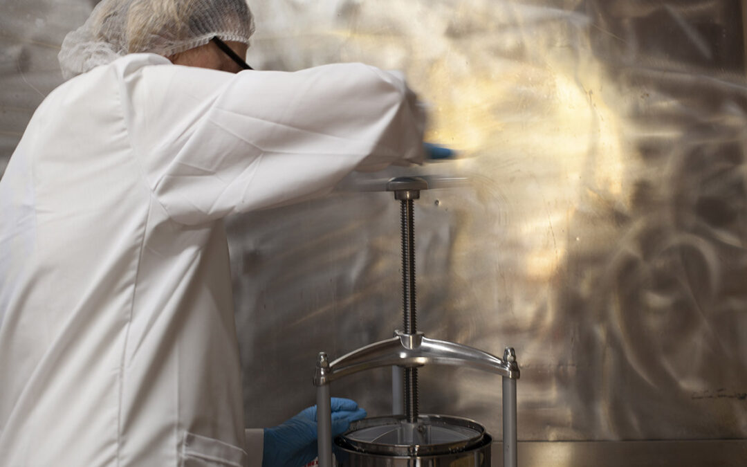 What Makes a High Quality Mushroom Tincture? A Simple Guide